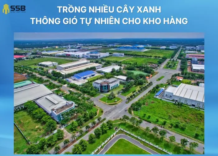 Trồng cây xanh xung quanh kho hàng