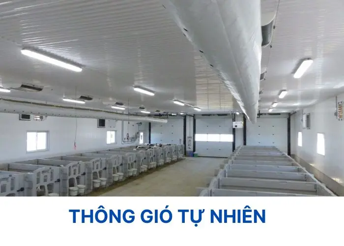 Thông gió tự nhiên trong nông nghiệp