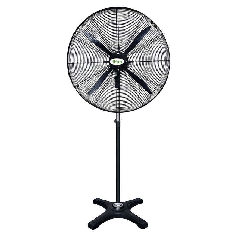 Quạt đứng Ifan